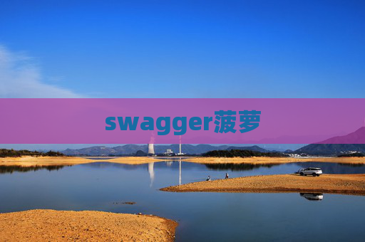 swagger菠萝